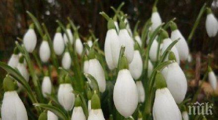 баба марта посреща пролетни температури щедро слънце