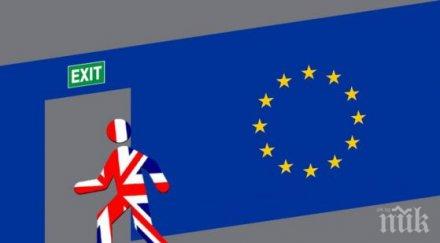 наплив англичани бързат уредят немски паспорт