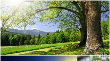 пълна прогноза времето носи баба марта вадете късите гащи прибирайте палтата