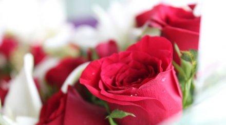 изненада март подарете здраве