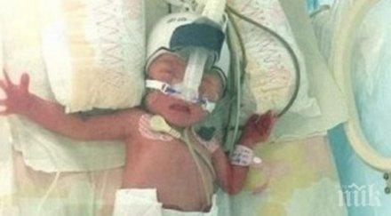 куриоз бременна роди два дни снимки