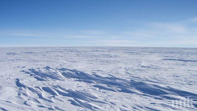 Рекордно високи температури измериха в Антарктика
