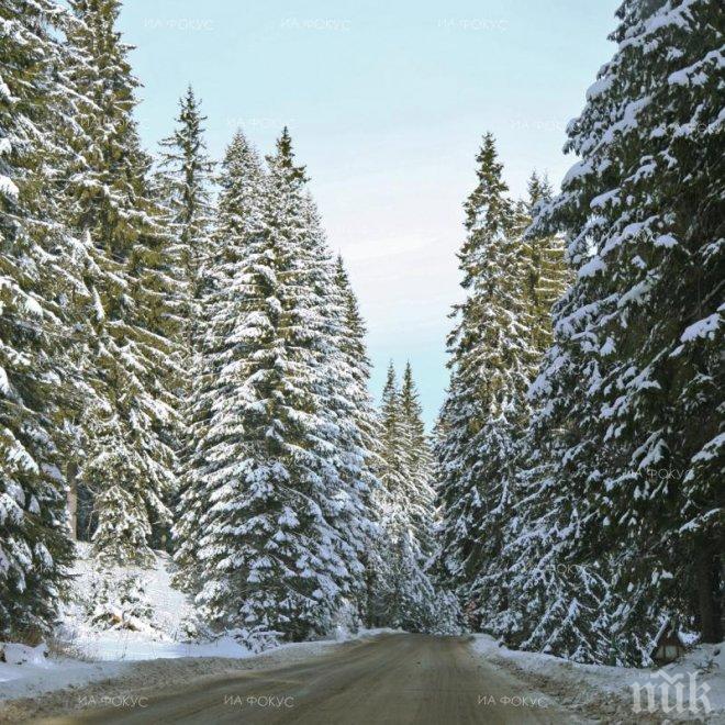 ЛОША ОЦЕНКА! ЕК ни скастри за плановете за управление на парковете