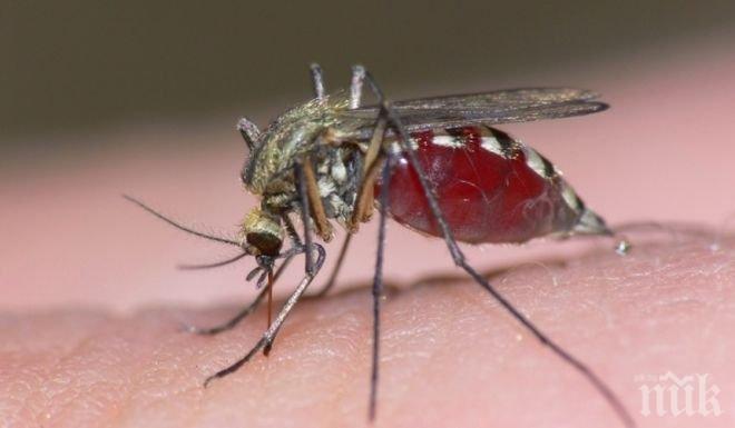 МВнР: Не пътувайте до Еквадор!

