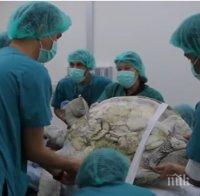 УНИКУМ! Близо 1000 монети извадиха от стомаха на костенурка в Тайланд (СНИМКИ/ВИДЕО)