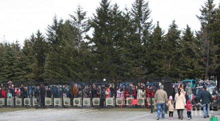 опашки вият ним навръх март