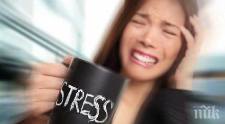 пет хоби занимания врагове стреса