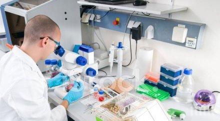 учени създали нов изключително лек здрав материал