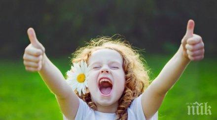 пет лесни техники сте щастливи всеки ден