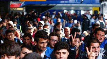 половината немски фирми наемат мигранти работници