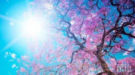 последна промоция остава слънчево новата седмица започва дъжд