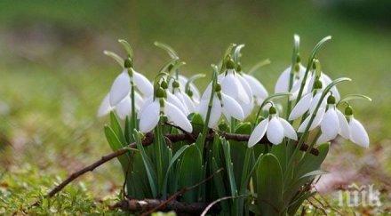 очаква пролетна неделя градусите достигат