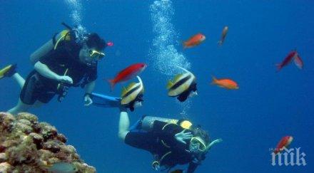 патриоти наши водолази разпънаха знамето сред рифовете червено море снимки