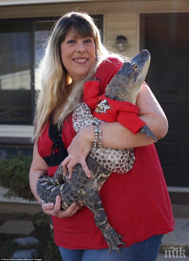 ХИТ В МРЕЖАТА! Жена си взе алигатор за домашен любимец, облича влечугото в рокли (ВИДЕО/СНИМКИ)