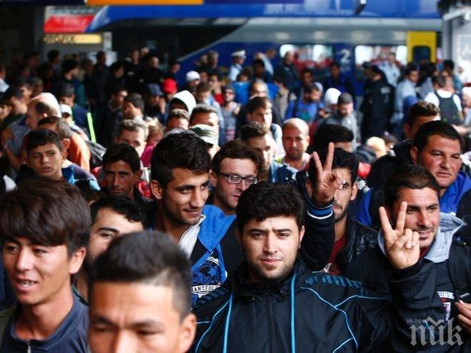 Над половината немски фирми наемат мигранти за работници