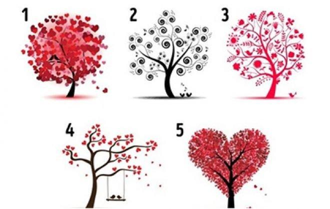Избери си дърво и ще ти кажем как обичаш
