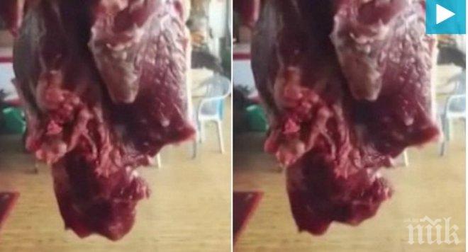 Невероятно! Парче месо оживя в магазин, изкара акъла на клиентите (ВИДЕО 18+)