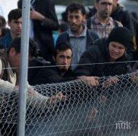 Унгария въоръжава хиляда „ловци“ на мигранти по границата

