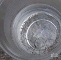 Жена от Сопот в шок! 20-сантиметров червей изпълзя от чешмата