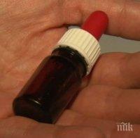 Екшън в Русе! Знахари натровиха трима младежи, заплашват журналисти