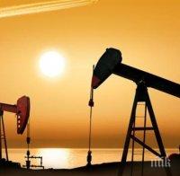 УЖАС! Запасите от петрол може да пресъхнат още през 2020 година