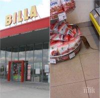 САМО В ПИК! Огромен плъх сее зарази в 