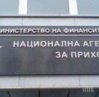 НАП запечата 4 обекта за търговия с цветя в Русе 