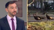 СУТРЕШЕН ХИТ! Хекимян нищи топ тема – защо пуйки кръжат около мъртва котка? (ВИДЕО)
