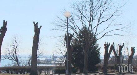 масова сеч морската градина стресна бургазлии