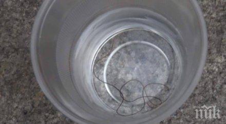 жена сопот шок сантиметров червей изпълзя чешмата