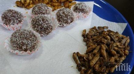 вкусотия чиния искате храните полезно пробвайте щурци скакалци копринени буби