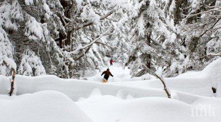 спасиха изгубени скиори пирин