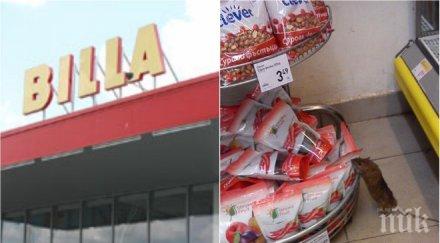 пик огромен плъх сее зарази билла снимки