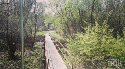 изготвят подробен план въртопо младост