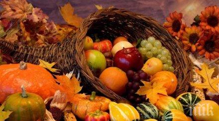 диетолог третират страна третия свят затова внасят некачествени храни