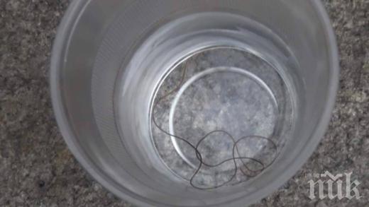 Жена от Сопот в шок! 20-сантиметров червей изпълзя от чешмата