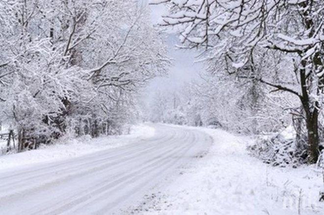 Снегът настъпва в Западна България! Връща ли се зимата и какъв уикенд ни очаква