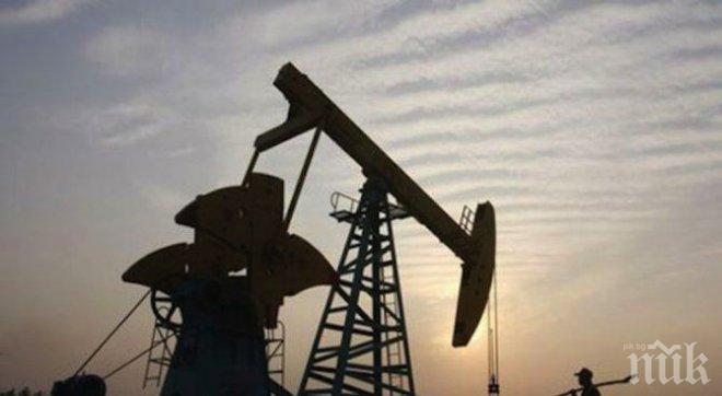 Съкращаването на производството на петрол е донесло девет милиарда долара приходи на руската хазна