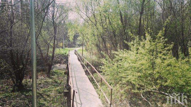 Изготвят подробен план за Въртопо в Младост