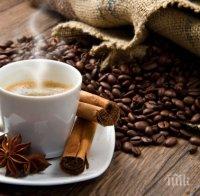 Учени: Кофеинът предпазва от деменция