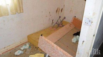 ужас спасиха четири деца зомбита къща ужасите острова