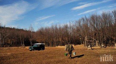 уволниха директори горски стопанства