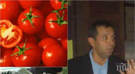 чудо чудесата краставиците скъпи българите научили ядат шопска салата зимата магазина удрят поне надценка