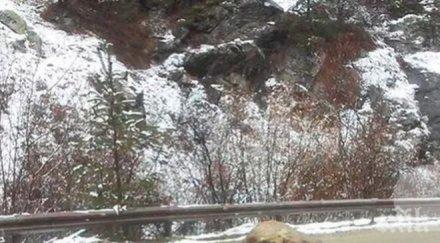 скала стовари пътя движещ автомобил щастие удари