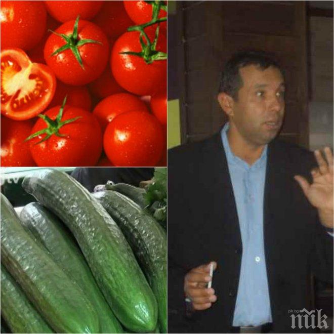 Чудо на чудесата! Краставиците скъпи, защото българите се научили да ядат „Шопска“ салата и през зимата, в магазина ни удрят с поне 45% надценка