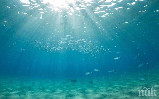 ТРЕВОГА! Световните океани се топят 13% по-бързо от очакваното