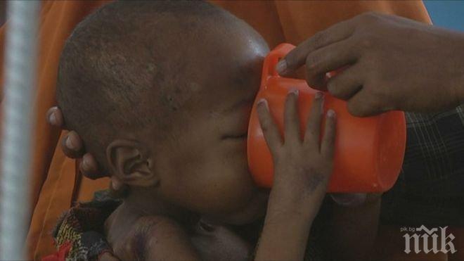 ООН предупреди: 20 милиона са застрашени от гладна смърт 