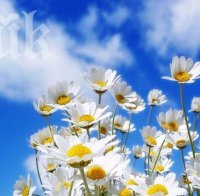 Времето се затопля, температурите тръгват нагоре