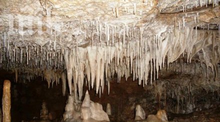 вандали съсипаха духлата