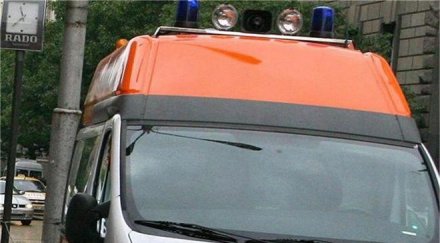 кола уби годишно